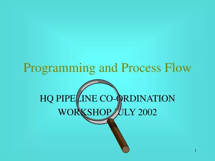 programming and process flow