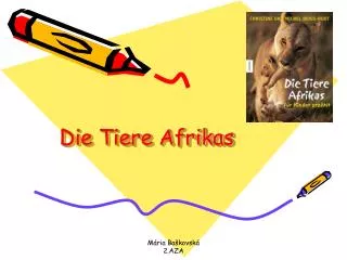 die tiere afrikas