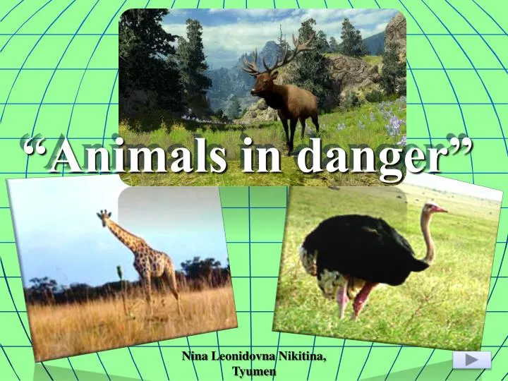animals in danger