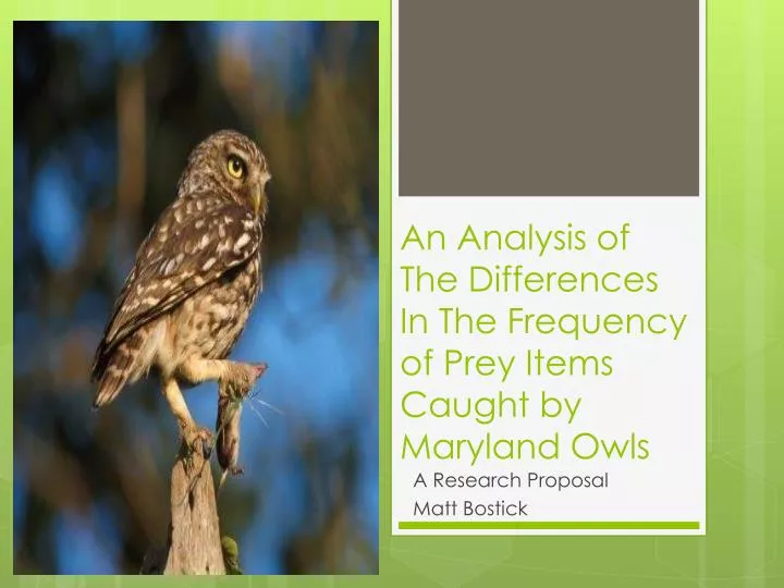 an analysis of the differences i n the frequency of prey items caught by maryland owls