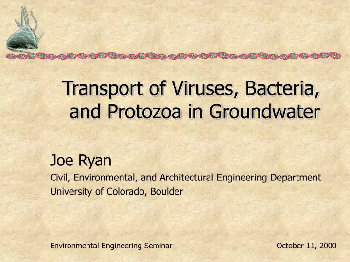 transport of viruses bacteria and protozoa in groundwater