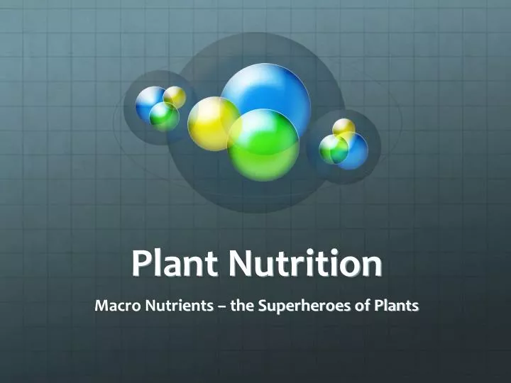 plant nutrition