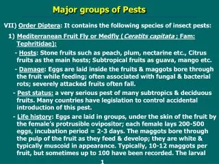 Major groups of Pests