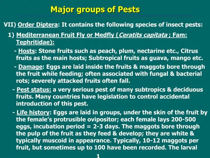 major groups of pests