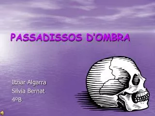 passadissos d ombra