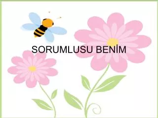 sorumlusu ben m