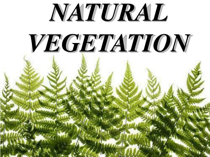natural vegetation