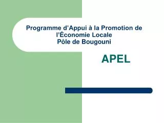 programme d appui la promotion de l conomie locale p le de bougouni