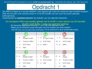 opdracht 1