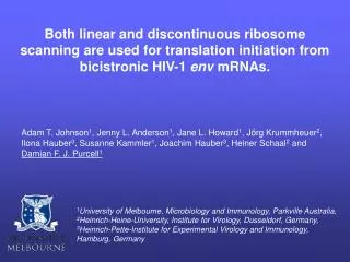 HIV-1 Alternative splicing