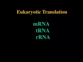 Eukaryotic Translation