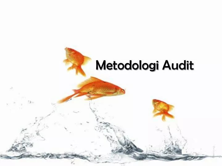 metodologi audit