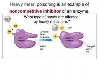 Heavy metal poisoning is an example of noncompetitive inhibitor of an enzyme.