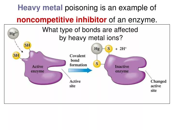 heavy metal poisoning is an example of noncompetitive inhibitor of an enzyme