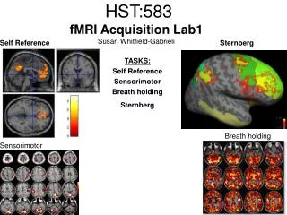 HST:583 fMRI Acquisition Lab1 Susan Whitfield-Gabrieli