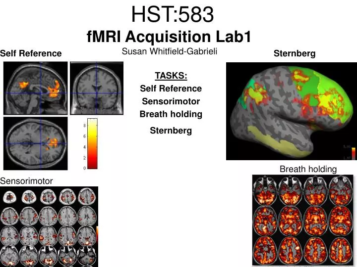 hst 583 fmri acquisition lab1 susan whitfield gabrieli