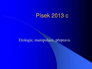 p sek 2013 c