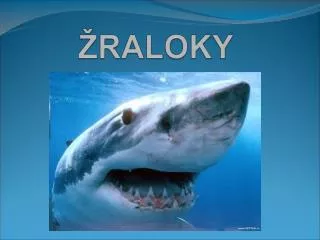 raloky