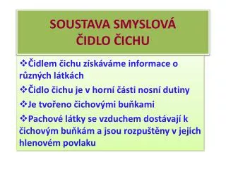 soustava smyslov idlo ichu