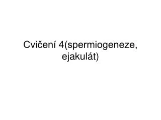cvi en 4 spermiogeneze ejakul t