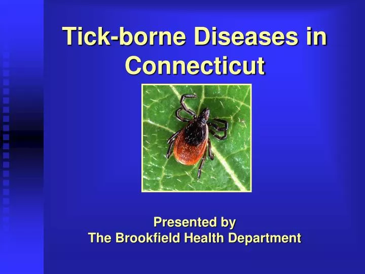 tick borne diseases in connecticut