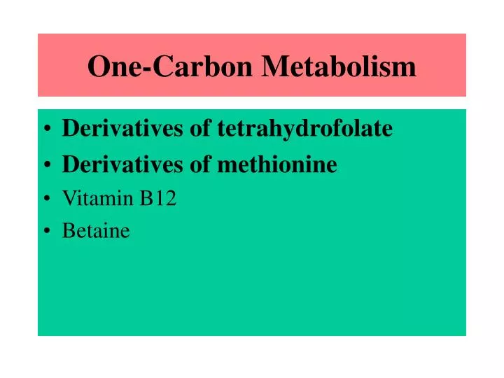 one carbon metabolism