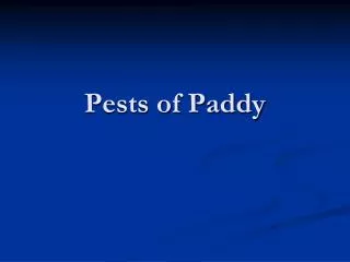 Pests of Paddy