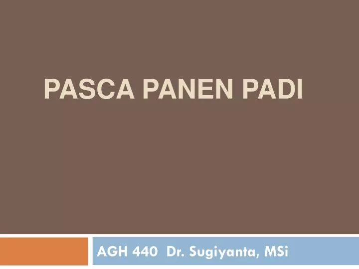 pasca panen padi