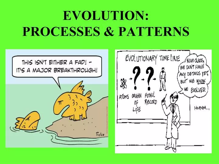 evolution processes patterns