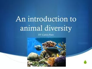 An introduction to animal diversity