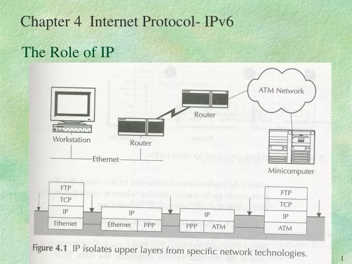 the role of ip