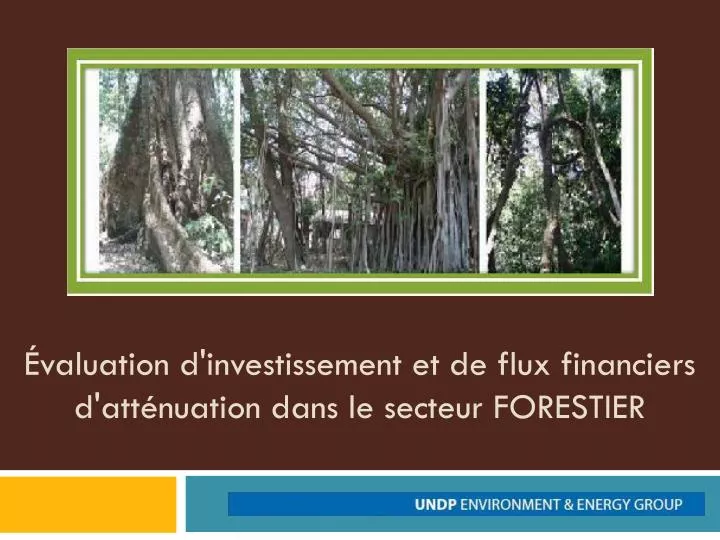 valuation d investissement et de flux financiers d att nuation dans le secteur forestier