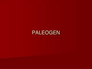 paleogen