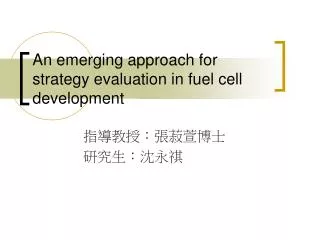 An emerging approach for strategy evaluation in fuel cell development