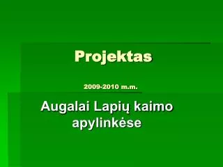 projektas 2009 2010 m m