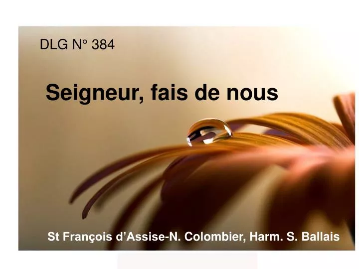 dlg n 384 seigneur fais de nous