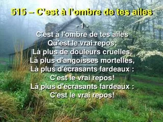 515 c est l ombre de tes ailes