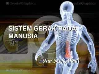 sistem gerak pada manusia