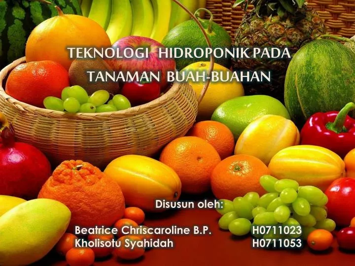 teknologi hidroponik pada tanaman buah buahan