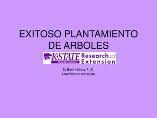 exitoso plantamiento de arboles