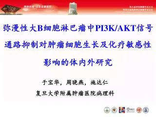 b pi3k akt