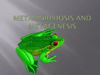 Metamorphosis and Metagenesis