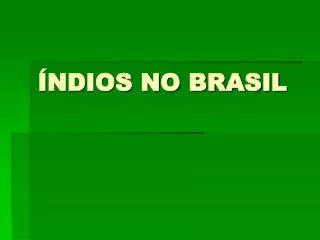ndios no brasil