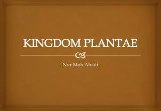 kingdom plantae