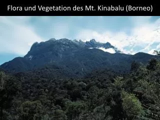 Flora und Vegetation des Mt. Kinabalu (Borneo)