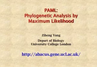 PAML: Phylogenetic Analysis by Maximum Likelihood