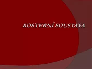 kostern soustava