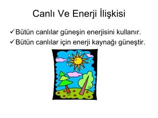 canl ve enerji li kisi