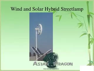 Wind and Solar Hybrid Streetlamp