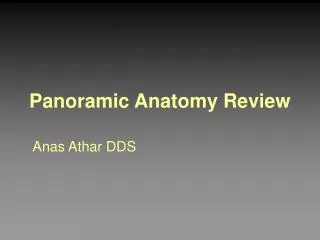 Panoramic Anatomy Review